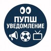 Telegram channel Пупш-уведомление | Пупшев Кирилл logo