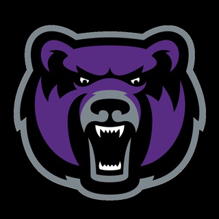 Logo of telegram channel purple_medved — PurpleBear