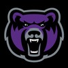 Telegram channel PurpleBear logo