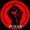 Telegram channel PUSAB OFFICIAL logo
