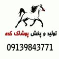Logo saluran telegram pushakkadehi — تولیدی پوشاک بچه گانه