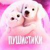 Логотип телеграм канала @pushistikitg — Пушистики