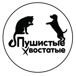 Логотип телеграм канала @pushistye_hvostatie — "Пушистые-Хвостатые" - ЛАПКИ 🐾 ДОБРА ❤️ LIVE