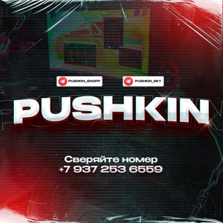 Логотип телеграм канала @pushkin_shopp — pushkin shop