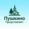 Логотип телеграм канала @pushkino_1838 — Пушкино представляет...