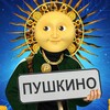 Логотип телеграм канала @pushkino_ozon — Склад Пушкино OZON JOB