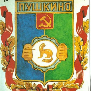 Логотип телеграм канала @pushkinolive — Пушкино Новости