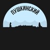 Логотип телеграм канала @pushkinskiy_piter — Пушкинский район