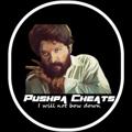 Logo saluran telegram pushpacheat — 𝑷𝑼𝑺𝑯𝑷𝑨 𝑪𝑯𝑬𝑨𝑻 𝑶𝑭𝑭𝑰𝑪𝑰𝑨𝑳™