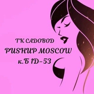 Логотип телеграм канала @pushupp_moscow2 — Pushup_Moscow