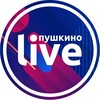 Логотип телеграм канала @pushville — Пушкино Live