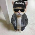 Telegram channel Pussy Acid logo