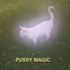Logo of telegram channel pussypic8 — PussyPIC