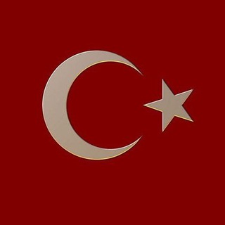 Telgraf kanalının logosu pusulaofficial — 🇹🇷PUSULA HABER OFFİCİAL