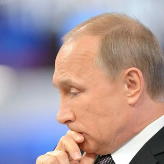 Логотип телеграм канала @putin_russia_today — Владимир Путин