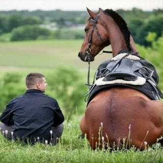 Логотип телеграм канала @putinastiha — ПУТИНа стихА