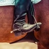 Логотип телеграм канала @pyatku_vniz — Пятку вниз! 🐎