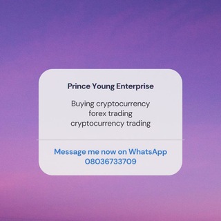 Logo of telegram channel pyefbt — Prince young enterprise