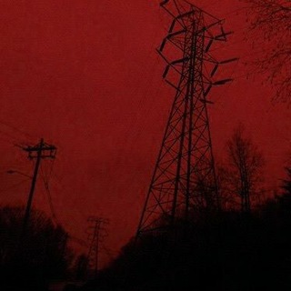 Логотип телеграм канала @pyrrolidinburied — ошибка выжившего