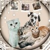 Логотип телеграм канала @pyshistie — БАНДА ПУШИСТИКОВ 🐾