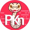 Логотип телеграм канала @pyth0nlib — Python - lib