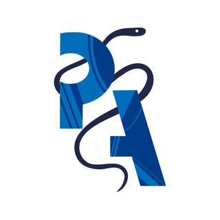 Логотип телеграм канала @python_academy — Python Academy