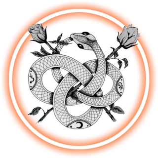 Логотип телеграм канала @python_noen — 🥐Питон По-русски