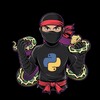 Логотип телеграм канала @python_ninjas — Python Ninja | Программирование