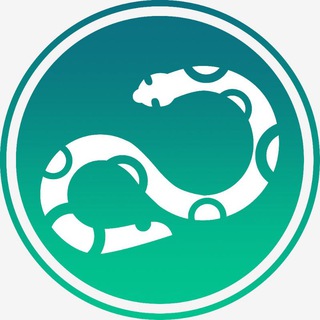 Logo of telegram channel pythontalk_ru — PythonTalk