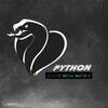 Логотип телеграм канала @pythonwave — Python Wave | OSINT