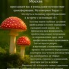 Логотип телеграм канала @pz2nzrargc04odky — Мухоморный Ретрит-Центр: "Возрождение ДУХА" Мухоморный трип с проводниками.