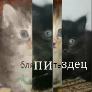 Логотип телеграм канала @pzdttc_strochnik — пиздец