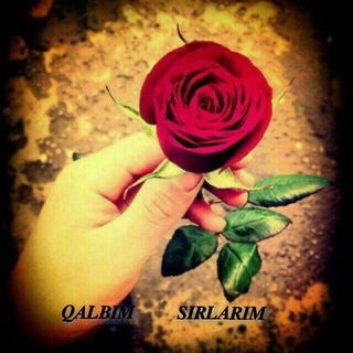 Telegram kanalining logotibi qalbim_sirlarim — 🌸𝑸𝒂𝒍𝒃𝒊𝒎 𝑺𝒊𝒓𝒍𝒂𝒓𝒊𝒎