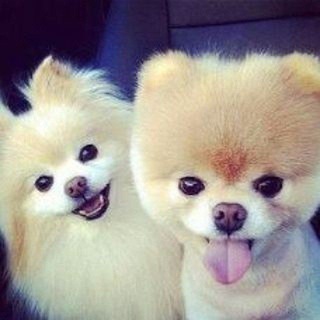 Logotipo del canal de telegramas qalbimda_baxor - 🌿🌷QALBIMDA_BAHOR🌷🌿