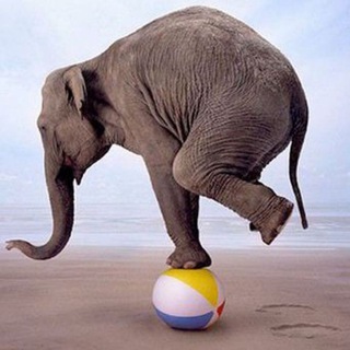 Логотип телеграм канала @qaload — 📢 QA — Load & Performance