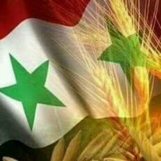 Logo of telegram channel qanat_suriat_alan — قناة سورية الآن