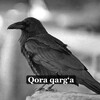Telegram kanalining logotibi qarga_uzb — Qora Qargʻa | Yangiliklar