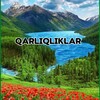 Telegram kanalining logotibi qarliq_liklar — Qarliqliklar