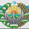 Telegram kanalining logotibi qarshiyuli — Qarshi Yuli MFY