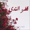 لوگوی کانال تلگرام qateralnada1442 — قطرُ الندى✨