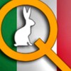 Telegram арнасының логотипі qc_italia_blogfeed — QC Italia 🇮🇹 - NewsFeed