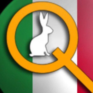 Logo del canale telegramma qcitalia_archivio_video - QC Italia 🇮🇹 - Archivio Video