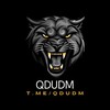 Logo of telegram channel qdudm — chef second nut victory spy