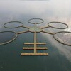 Логотип телеграм канала @qihangfishingcage — Qihang Fishing Cage Rus
