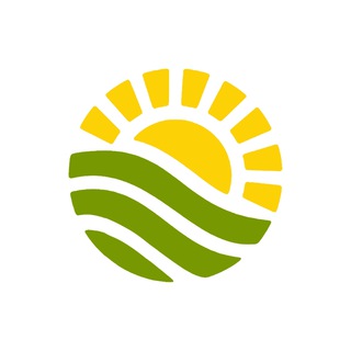 电报频道的标志 qingqing_sunshine_team — Qingqing Sunshine Team