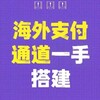 电报频道的标志 qinhashui86853hdj — 海外通道🌏盘口搭建-已上押