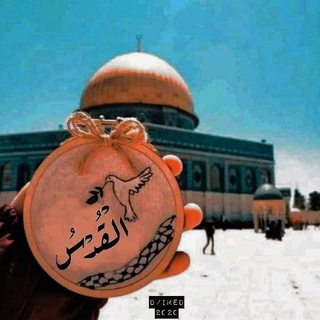 لوگوی کانال تلگرام qisami_98 — قسامي 💚 ⁦🇵🇸