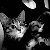 Логотип телеграм канала @qiwodup — Forever young