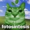 Логотип телеграм канала @qjest_room — ч0ᴋнуᴛᴀя жᴇнщинᴀ🌿