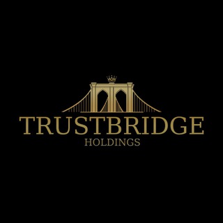 Logo of telegram channel qnet17u — TrustBridge Holdings News